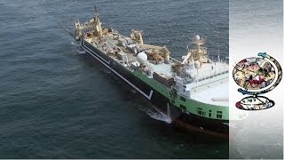 How Australia Impounded the Worlds SecondLargest Fishing Trawler [upl. by Tirzah]