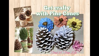 Get Crafty with Pine Cones wreaths repurpose ideas [upl. by Asenab]