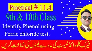 Identify Phenol using ferric chloride test  10th Chemistry practical 114  Phenol test [upl. by Dranek605]