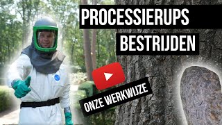 Eikenprocessierups bestrijden  Uitleg van de professional [upl. by Oicor411]