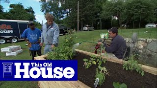 How to Plant a Raised Garden Bed  This Old House [upl. by Eissehc]