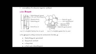 Grade 11 Science Unit 122 b Tamil medium [upl. by Jacquie]