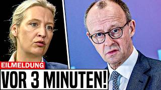 EILMELDUNG Alice Weidel HAT ES GESAGT [upl. by Runstadler68]