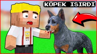 EFEKANI KÖPEK ISIRDI 😱  Minecraft [upl. by Pell176]