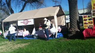 Esparto CA Almond Festival 2014 [upl. by Asilim403]