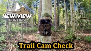 New View Hunting Trail Cam Check [upl. by Tereve658]