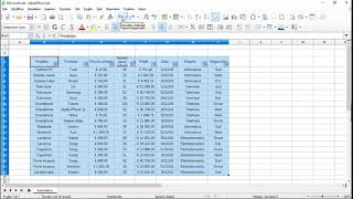 LibreOffice Calc 6 i filtri [upl. by Aivil]