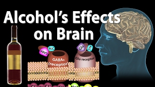 Effects of Alcohol on the Brain Animation Professional version [upl. by Hamas]