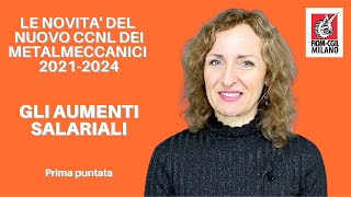 Rinnovo del contratto dei metalmeccanici gli aumenti salariali nel CCNL 2021 [upl. by Eihtur166]