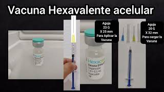 Vacuna HEXAVALENTE ACELULAR 💉 [upl. by Anaujd]