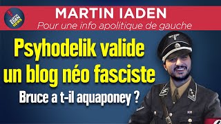 psyhodelik valide un blog néo fasciste [upl. by Etteoj302]