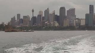 Австралия Сидней  Паром австралия australia сидней sydney ferry [upl. by Ahsitak]