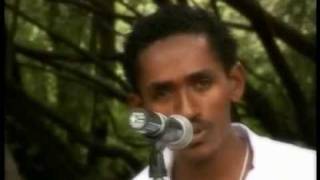 Oromo Music Hacaaluu Hundessa [upl. by Kally366]