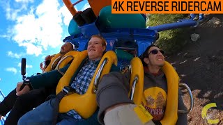 RIDING TALON AT DORNEY PARK 4K Reverse Ridercam Dorney Park Allentown PA [upl. by Dinsmore111]