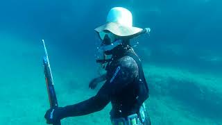 Spearfishing Montenegro  JunJuly 2021  Podvodni ribolov Crna Gora JunJul 2021 [upl. by Launce941]