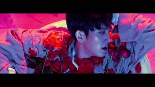 The Rose Sorry MV [upl. by Schwartz]