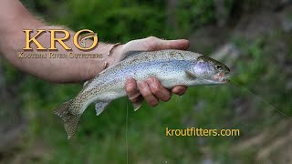 Kootenai River Fly Fishing June 2024 Yaak to Leonia [upl. by Liatris]