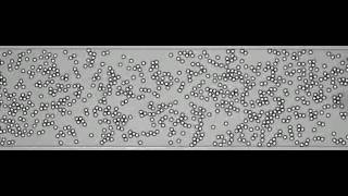 Tiny water drops flowing in oil reveal a new type of order [upl. by Norbie]