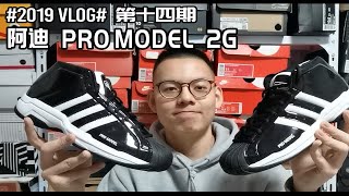 经典重现——Adidas pro model 2g复刻（结尾有彩蛋）经 [upl. by Ulick913]