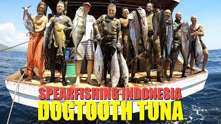 Indonesia Travel amp spearfishing Andre Liveaboard Trip nov 2018 [upl. by Suoiradal]