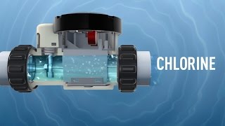 iChlor® Salt Chlorine Generator [upl. by Aneram940]