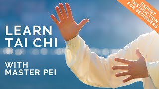 Tai Chi for Beginners  Best Instructional Video for Learning Tai Chi  Lesson 1 [upl. by Blasien336]