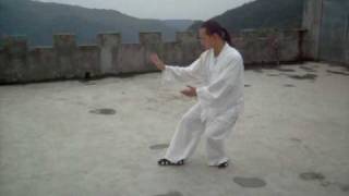 Wudang Tai Chi 48 Form by Yuan Li Min disciple Zhang Wei Hai 武当秘传48式太极拳 [upl. by Rosario909]