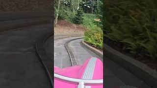 Autopia Disneyland Paris  Il n avait pas le permis CRASH disneylandparis Autopia crashdisney [upl. by Fredi]