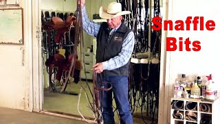 Types Of Snaffle Bits For Training Horses [upl. by Quigley]