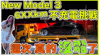 Model3 RWD上拖車，電量0後還能走多遠？｜實測Model 3 LFP破WLTP 540km｜【Echo’s Ev Life】 [upl. by Galitea]