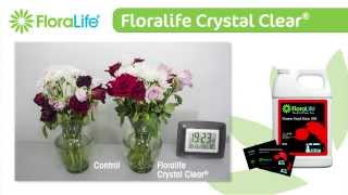 Floralife Crystal Clear® also known as Flower Food Clear 300 [upl. by Aldred]