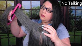 ASMR Hair Salon Roleplay NO TALKING Wet Haircut Blow Dry Hair Dryer Hair Straightening Spray [upl. by Ffej598]