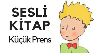 Küçük Prens Sesli Kitap Dinle Oku Tek Parça Masal Abbas Tekin [upl. by Littlejohn]