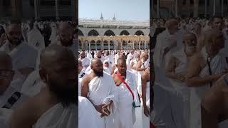 Madina Sharif Umrah Sharif Bountiful Video 🥰 makka madina umrah islamic subscribe [upl. by Yla]