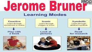 Bruners Cognitive development theory [upl. by Zoubek]