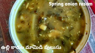 Spring Onion Recipes Vullikadalu mango pulusu Spring onion rasamEasy spring onion recipe mango [upl. by Eterg]