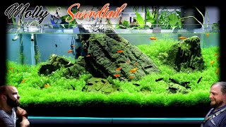 Making a 4ft Carpet Aquarium for Mollies and Swordtails [upl. by Leanne]