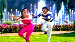 Chiranjeevi Radha Superhit Video Song  Lankeswarudu Movie Video Songs  Telugu Movie Songs [upl. by Ninnetta]