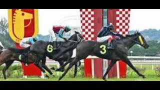 SELANGOR LIVE RACES [upl. by Ateuqirne]