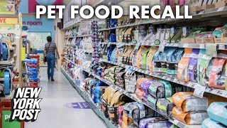 These dog and cat foods are being recalled after salmonella alert  New York Post [upl. by Anierdna846]