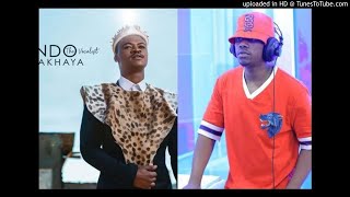 Mlindo The Vocalist ft Rayvanny – AmaBlesser Remix Official Audio Video [upl. by Inaffit68]