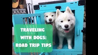 Traveling with Dogs Road Trip Tips with Impact Dog Crates [upl. by Yemirej]