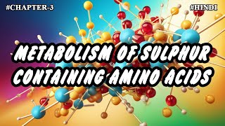 Chapter  3  Metabolism Of Sulphur Containing Amino Acids Part9  Hindi [upl. by Tenenbaum]