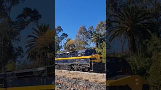 Preserved Locomotive C501 coming into the Benalla Siding  Slow Rail Journey 🚂 train history [upl. by Jariah]