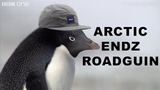 If Penguins Were Roadmen Frozen Planet Parody Dub [upl. by Alfonso]