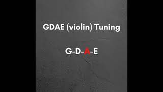 Bass Tuner GDAE Violin Tuning [upl. by Enilav]