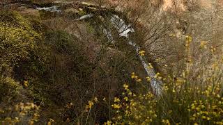 Waterfall in the Tbilisi Botanical Garden IX  Georgia [upl. by Sanoy]