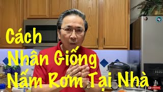 Cách Nhân Giống Nấm Rơm Tại Nhà Ở Mỹ [upl. by Nassir127]