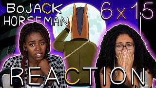 BoJack Horseman 6x15  quotThe View from Halfway Downquot REACTION [upl. by Mchale]