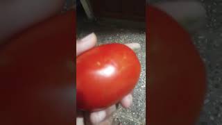 guys bahut tomato wala gana hai asali tomato dikhao [upl. by Burkitt]